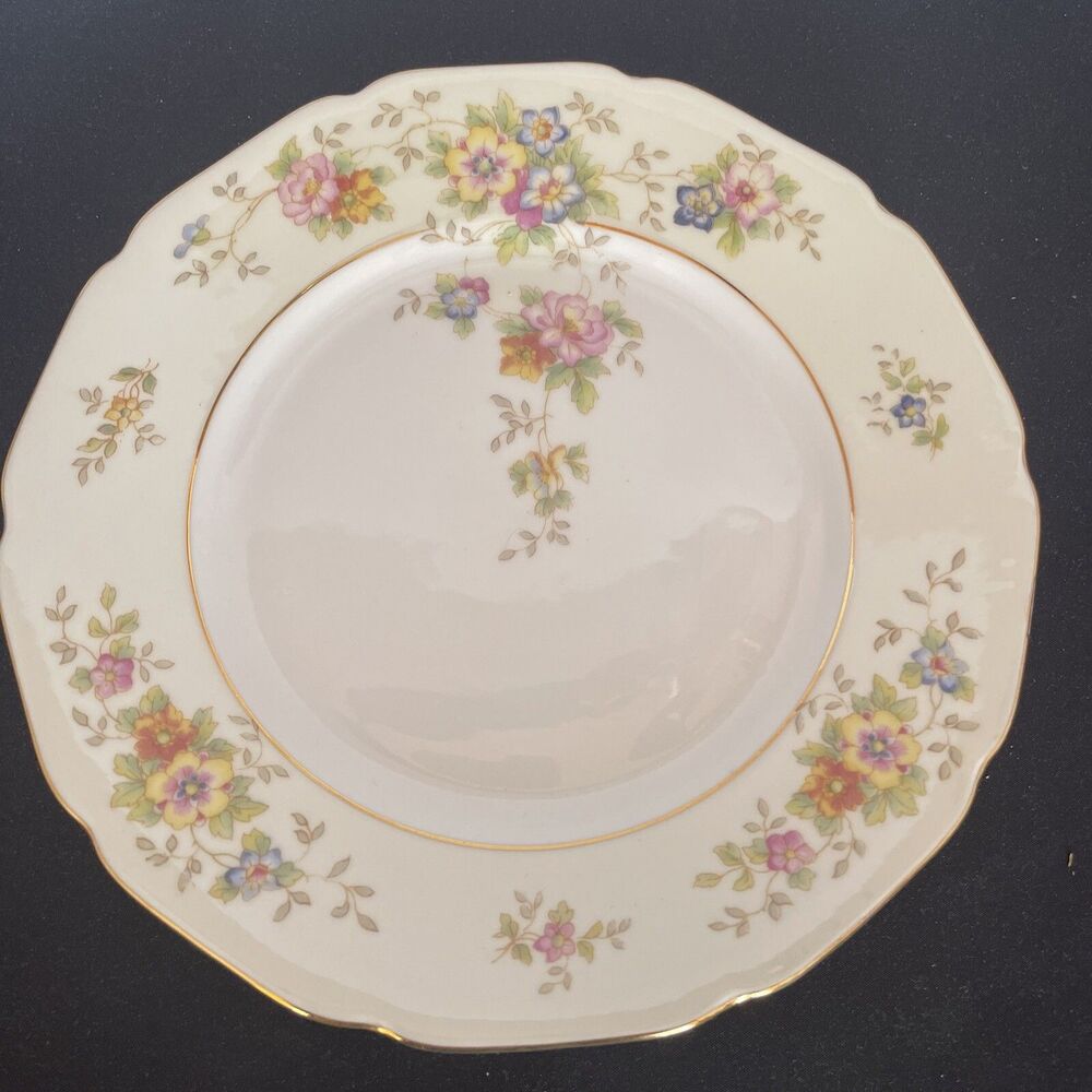 Heinrich H&C 8” Salad Plate Selb Bavaria Germany Floral Pattern HC206